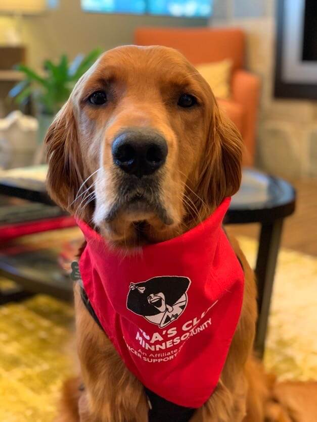A golden dog sits and wears a red bandana with a Gilda's Club Minnesota logo printed on it in black and white.